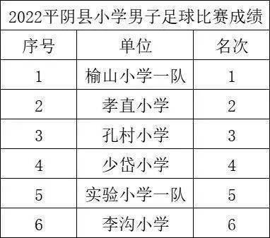 平阴青少年篮球赛冠军是谁_全国青少年篮球俱乐部冠军联赛_全国青少年篮球联赛历届冠军